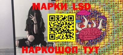 Альфа ПВП Гусев