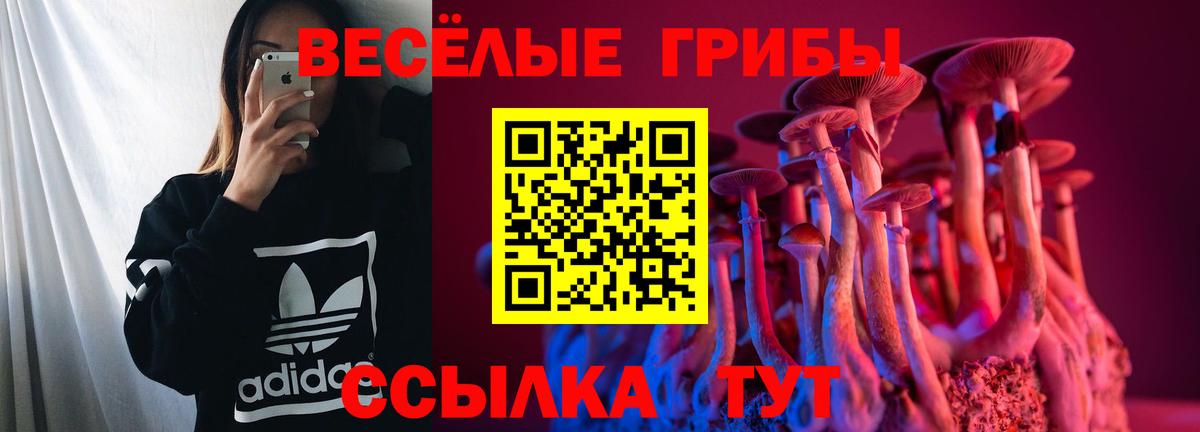 Псилоцибиновые грибы Magic Shrooms  Галлюциногенные грибы мицелий  Вход с VPN  Нерюнгри 