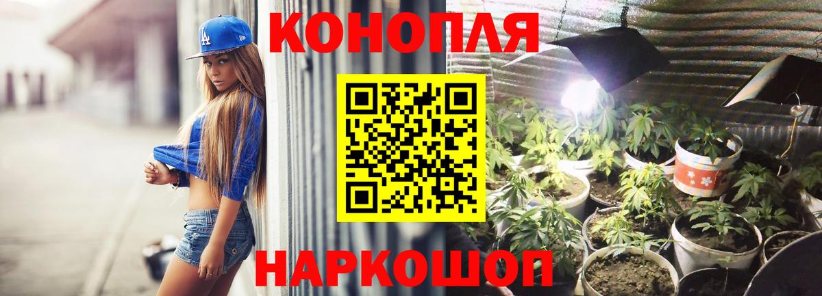 МАРИХУАНА сатива Нерюнгри